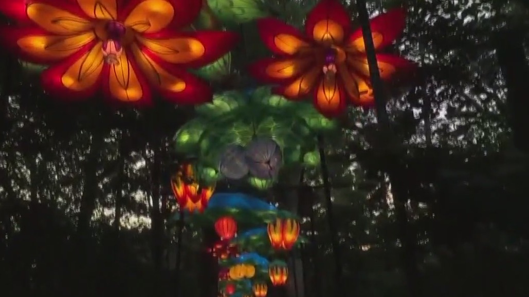All-new attractions